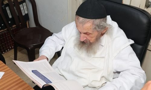 רבן של ישראל שליט"א בעיון מעמיק בכל פרט ופרט