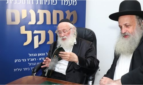 רבותינו הדיינים שליט"א