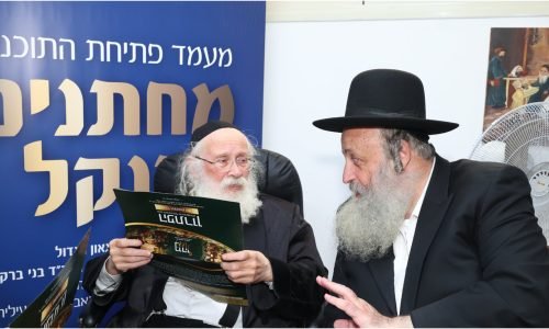 רבותינו הדיינים שליט"א דנים בפרטים